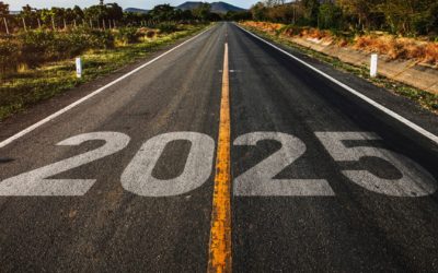 Bonne année 2025 à toutes et à tous !
